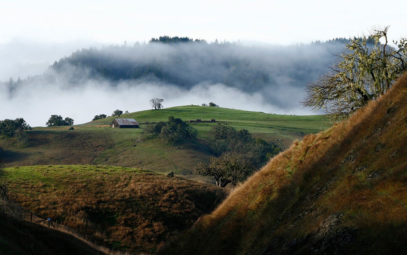 Earth Day 2021: What a Year Spent on Property has Taught Us