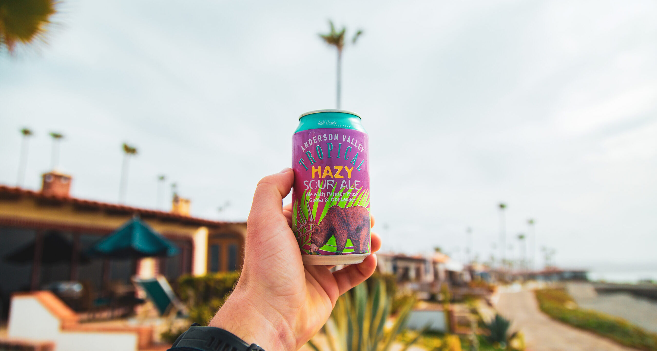 Why You Should Be Drinking Tropical Hazy Sour Right Now