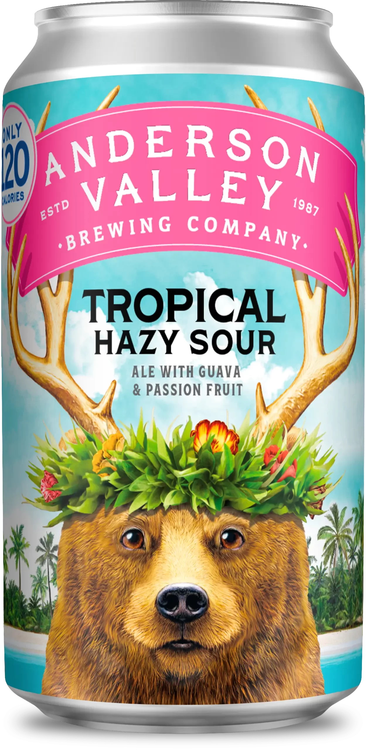 beer-Tropical Hazy Sour Ale