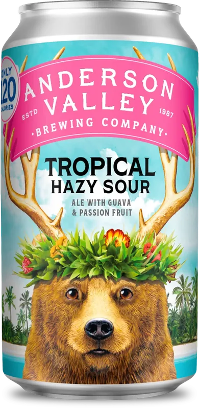 TROPICAL HAZY SOUR ALE