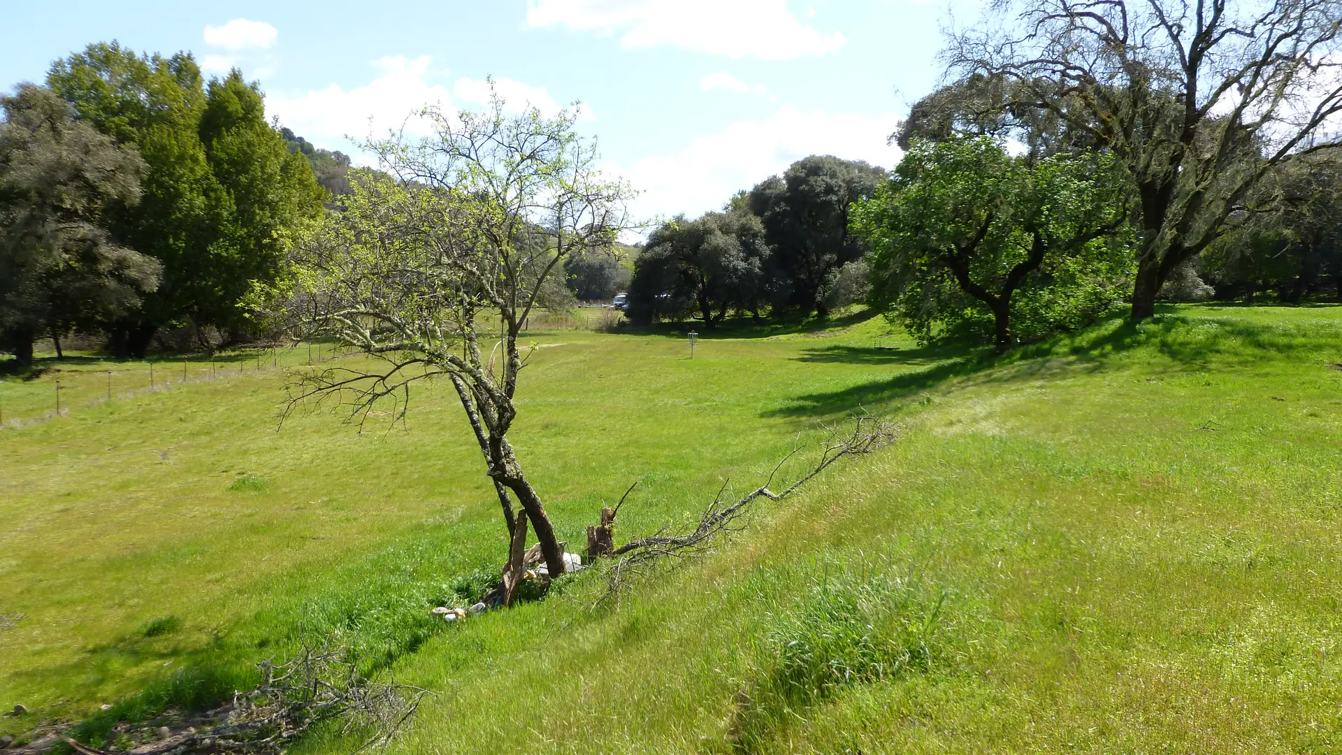 Disc golf basket on the fairway of hole 7 at Anderson Valley Brewing Company's course in Boonville, California
