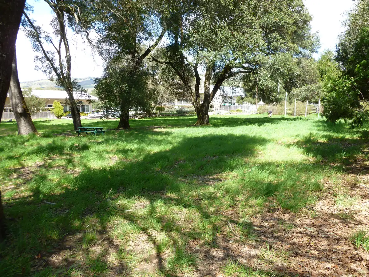 Hole 1 at the Anderson Valley Brewing disc golf course in Boonville, CA