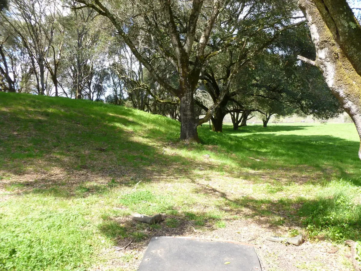 Hole 10 at the Anderson Valley Brewing disc golf course in Boonville, CA