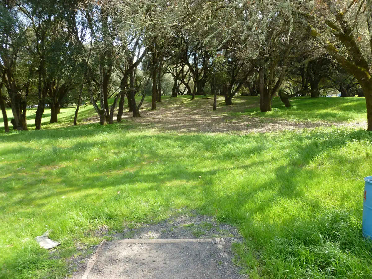 Hole 11 at the Anderson Valley Brewing disc golf course in Boonville, CA