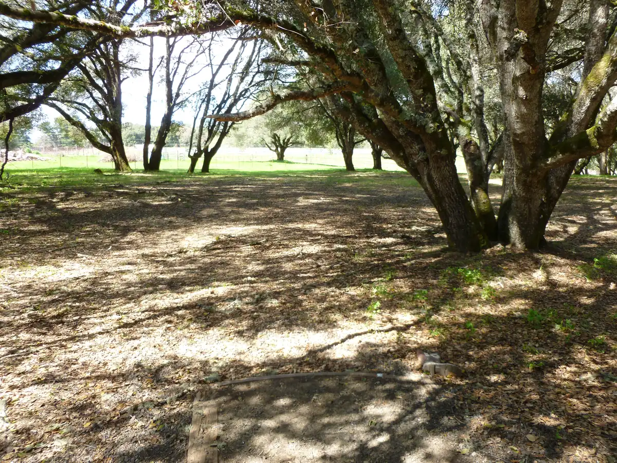 Hole 12 at the Anderson Valley Brewing disc golf course in Boonville, CA
