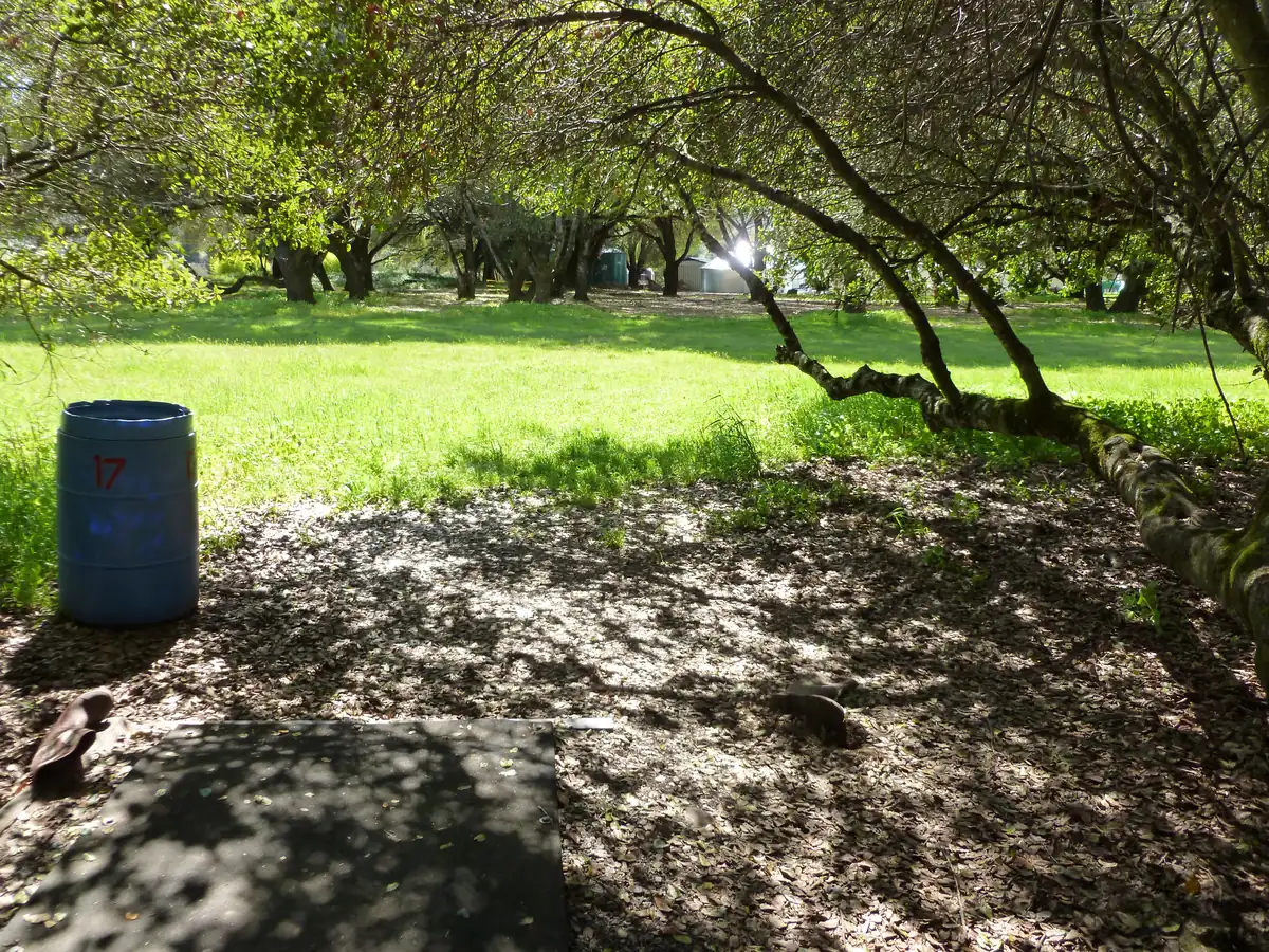 Hole 13 at the Anderson Valley Brewing disc golf course in Boonville, CA