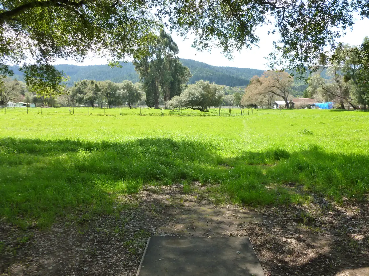 Hole 16 at the Anderson Valley Brewing disc golf course in Boonville, CA