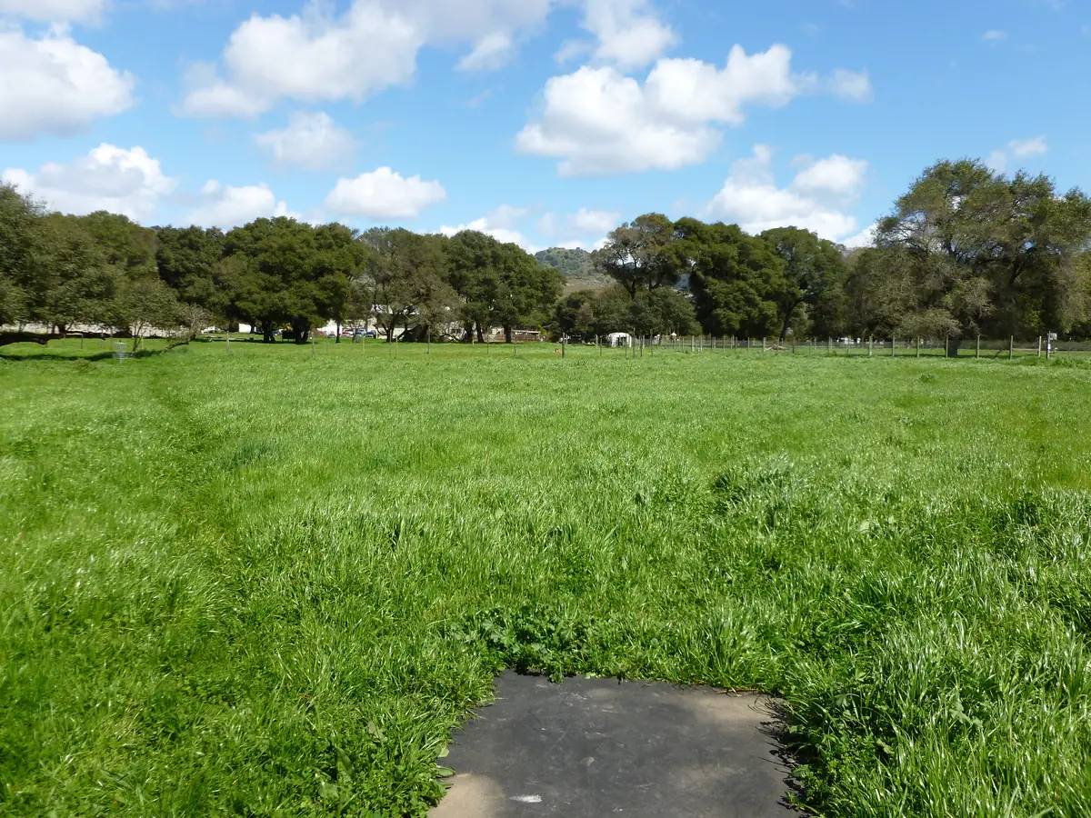 Hole 17 at the Anderson Valley Brewing disc golf course in Boonville, CA