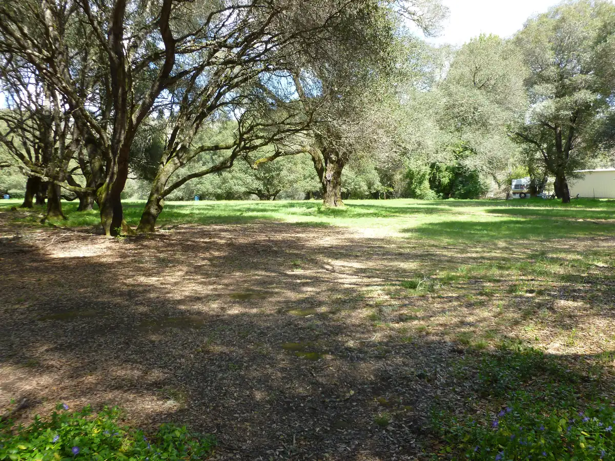 Hole 3 at the Anderson Valley Brewing disc golf course in Boonville, CA