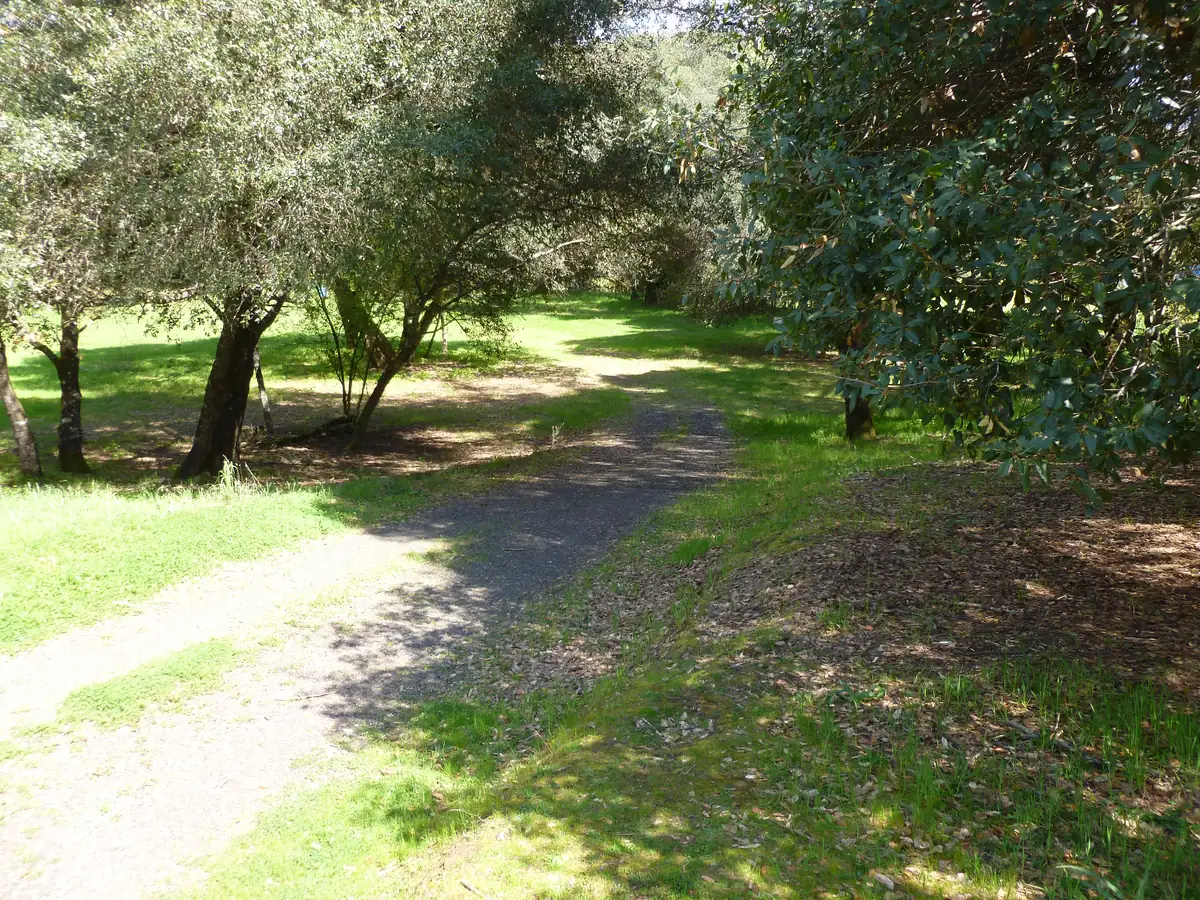 Hole 4 at the Anderson Valley Brewing disc golf course in Boonville, CA