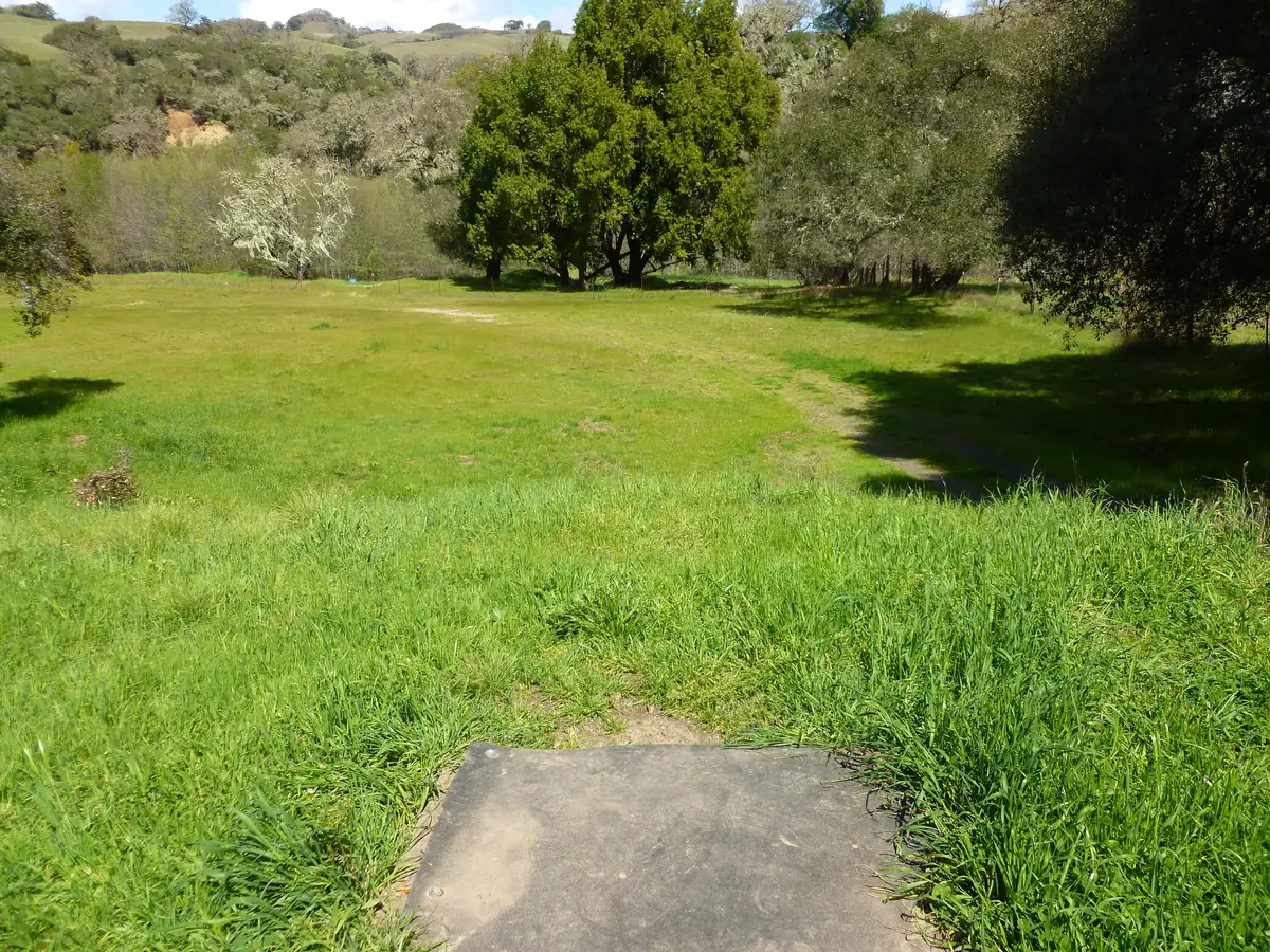 Hole 5 at the Anderson Valley Brewing disc golf course in Boonville, CA