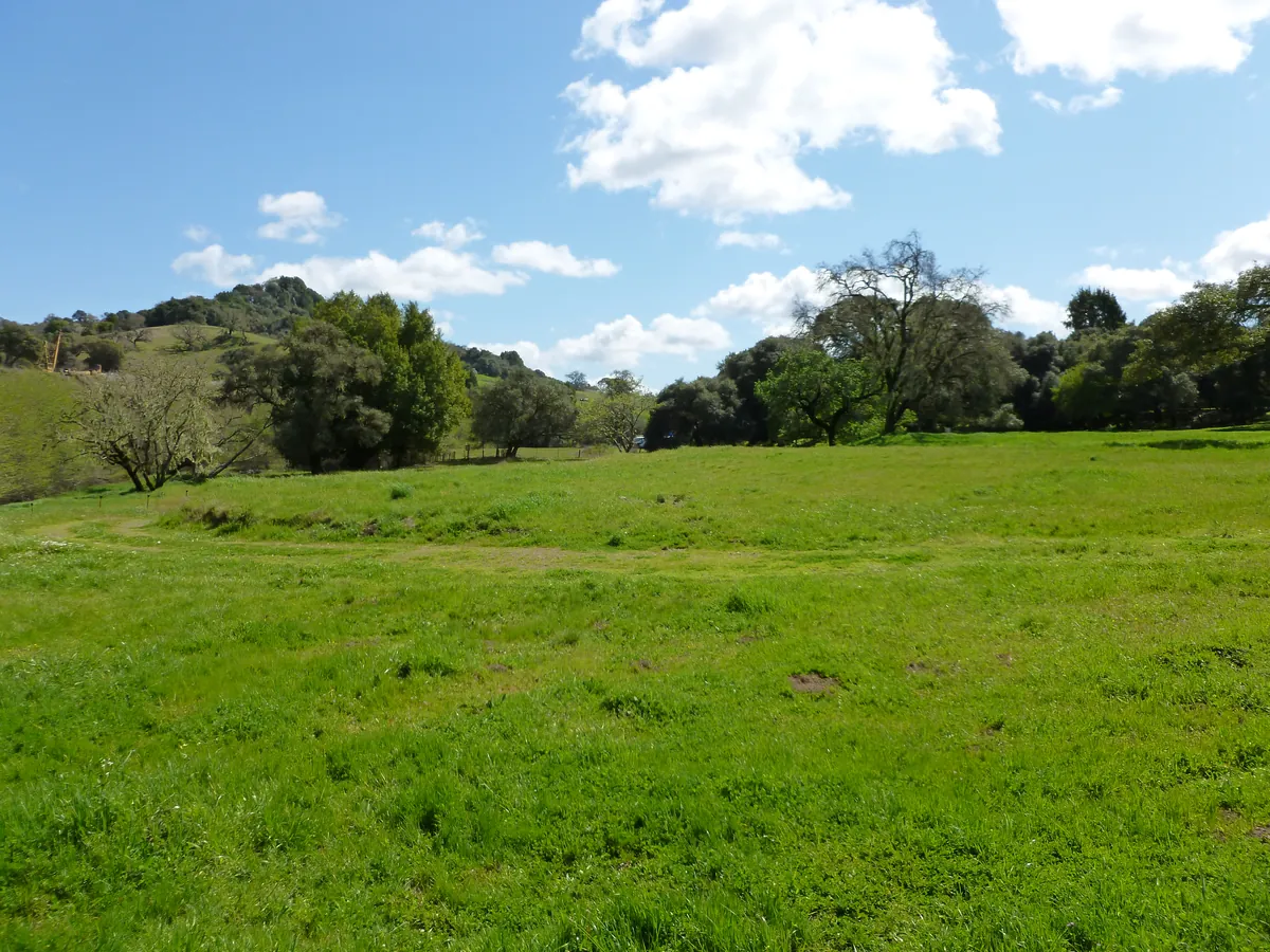 Hole 7 at the Anderson Valley Brewing disc golf course in Boonville, CA