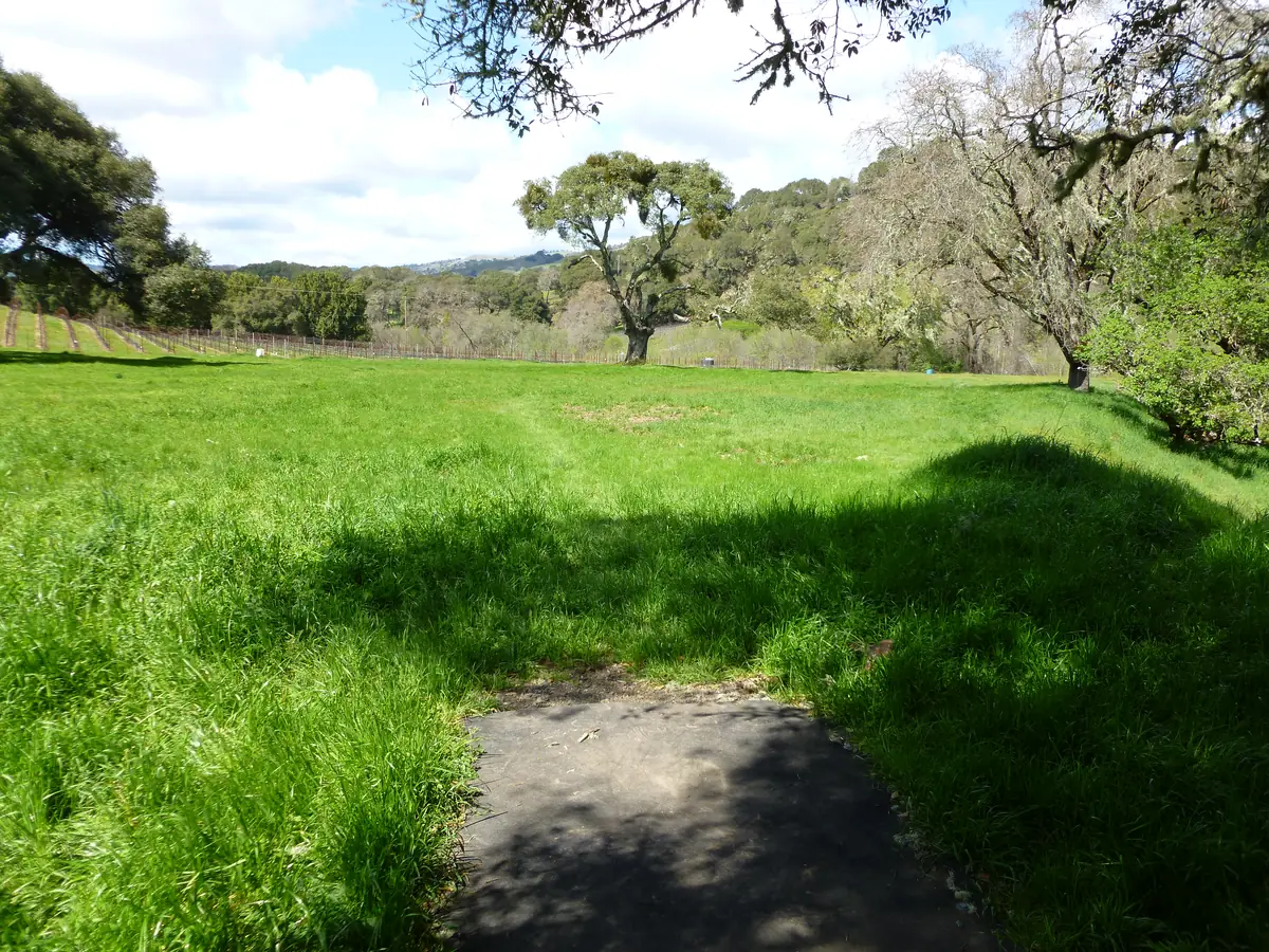 Hole 8 at the Anderson Valley Brewing disc golf course in Boonville, CA