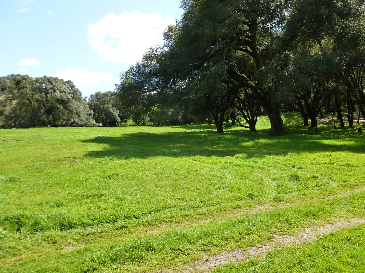 Hole 9 at the Anderson Valley Brewing disc golf course in Boonville, CA